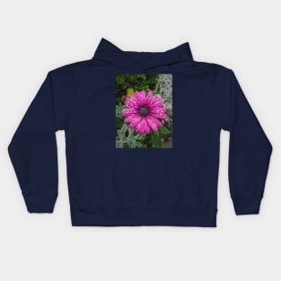 dew drops on purple aster Kids Hoodie